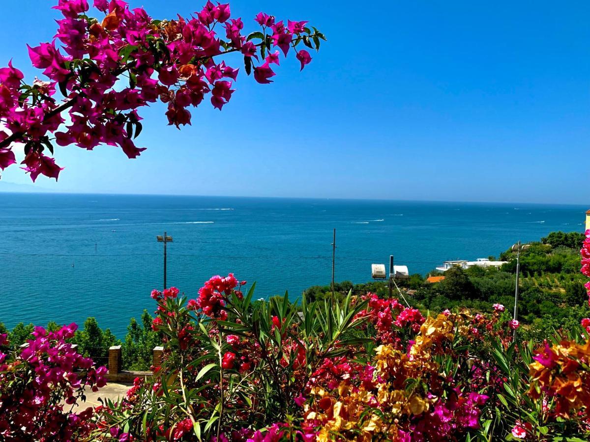 La Finestra Sul Duomo, Amalfi Coast Apartment วิเอตริ ภายนอก รูปภาพ